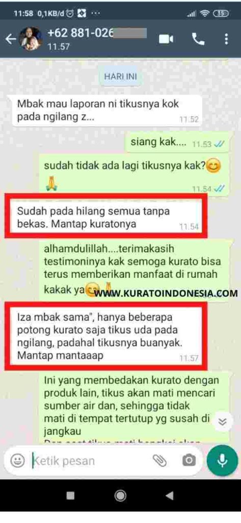 TESTI-3-LP-OV-.jpg