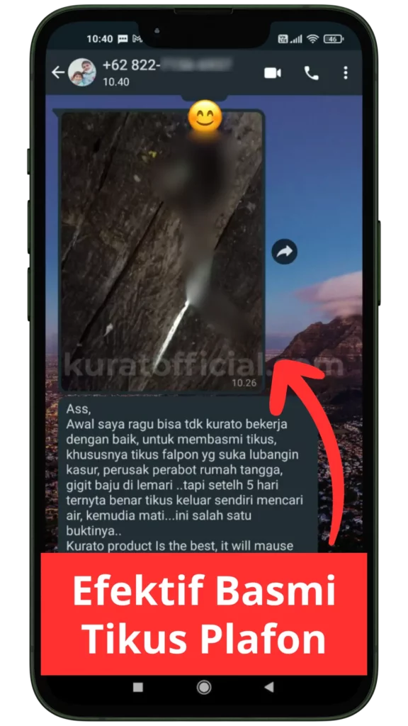 Testimoni WA Kurato (5)