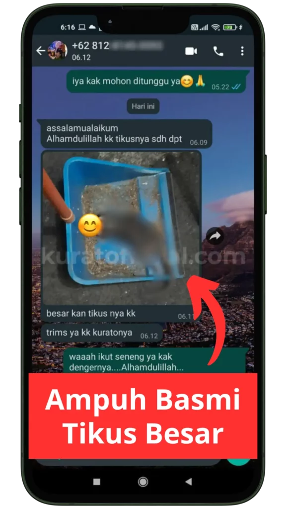 Testimoni WA Kurato